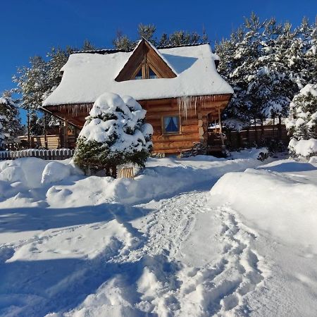 Domki Szwajnosowka Witów Exteriör bild