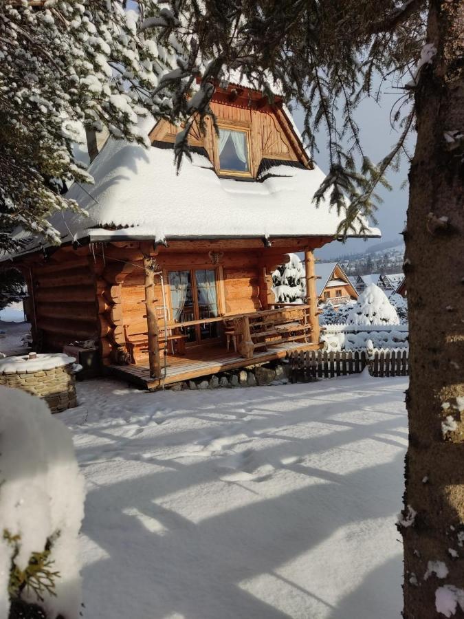 Domki Szwajnosowka Witów Exteriör bild