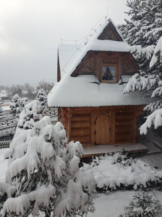 Domki Szwajnosowka Witów Exteriör bild
