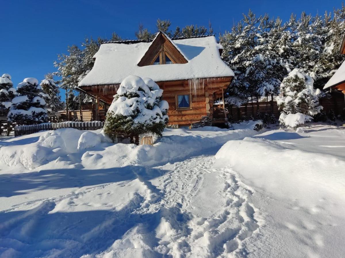 Domki Szwajnosowka Witów Exteriör bild